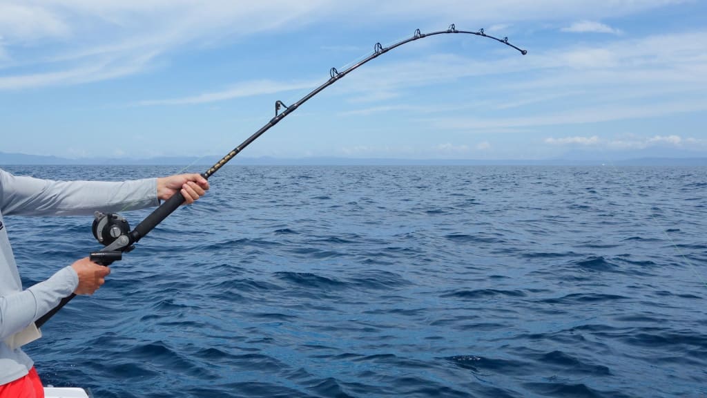 A fishing rod facing the open sea